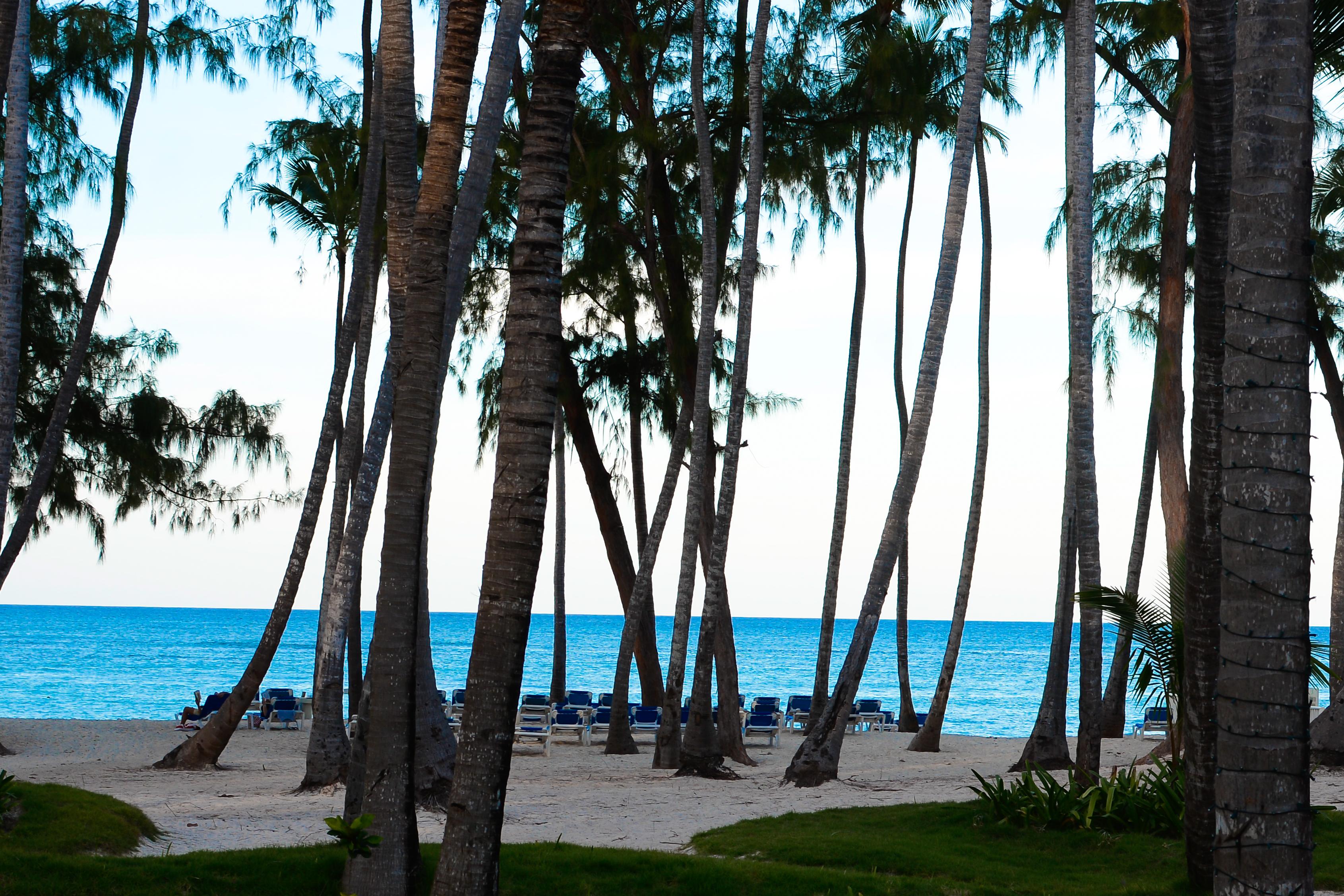 Vista Sol Punta Cana Luaran gambar